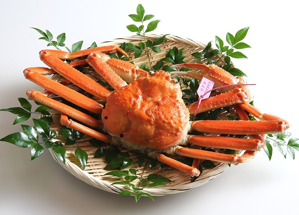 Boiled Matsuba Crab（Matsubagani）: Delicious!! Japanese food